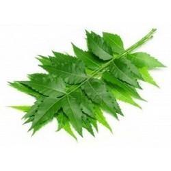 Neem Leaves Powder-5oz - afrikinky