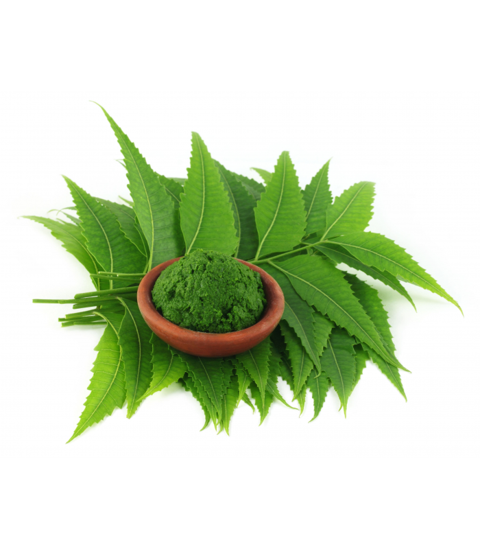 Neem Leaves Powder-5oz - afrikinky