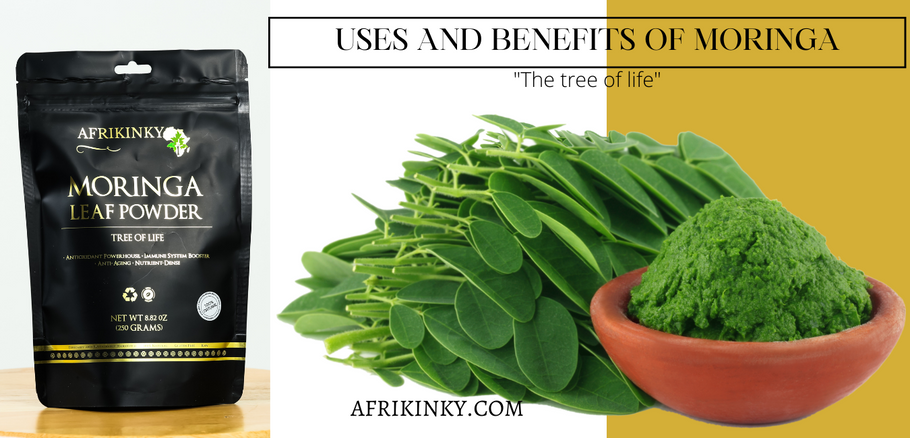 ALL YOU NEED TO KNOW ABOUT MORINGA (USES, BENEFITS & RECIPES)