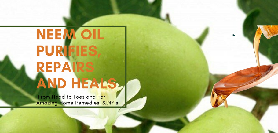 MULTIPURPOSE USES AND BENEFITS OF NEEM OIL